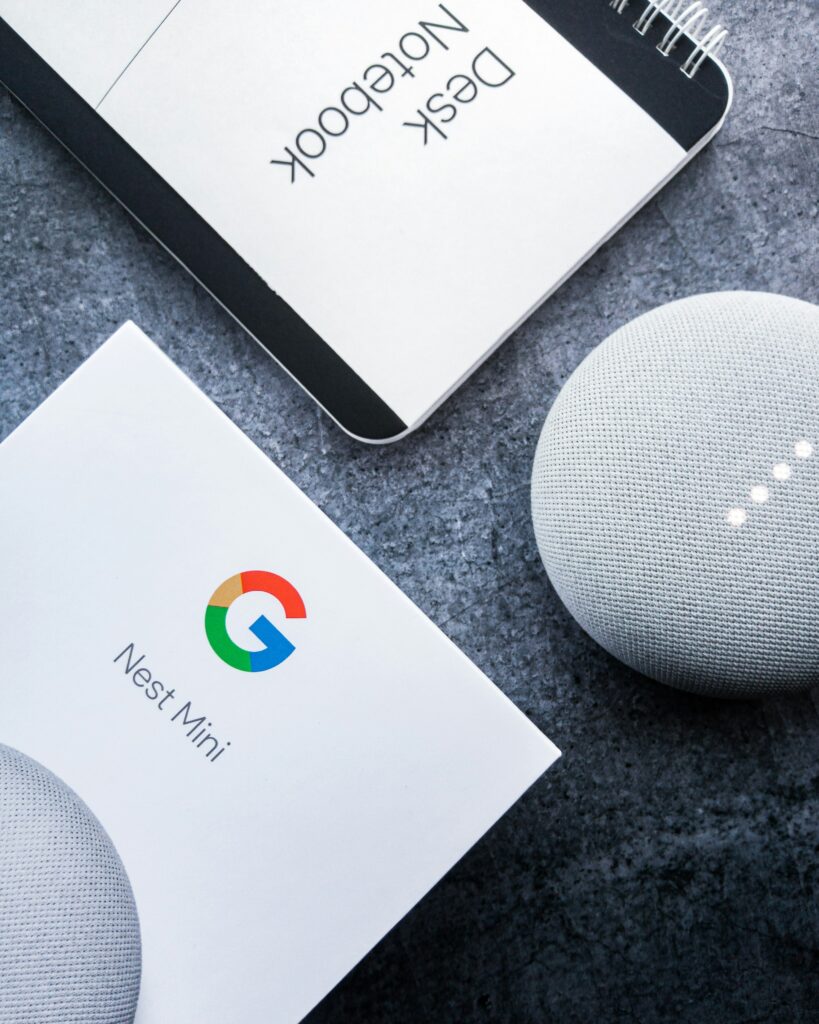 google home